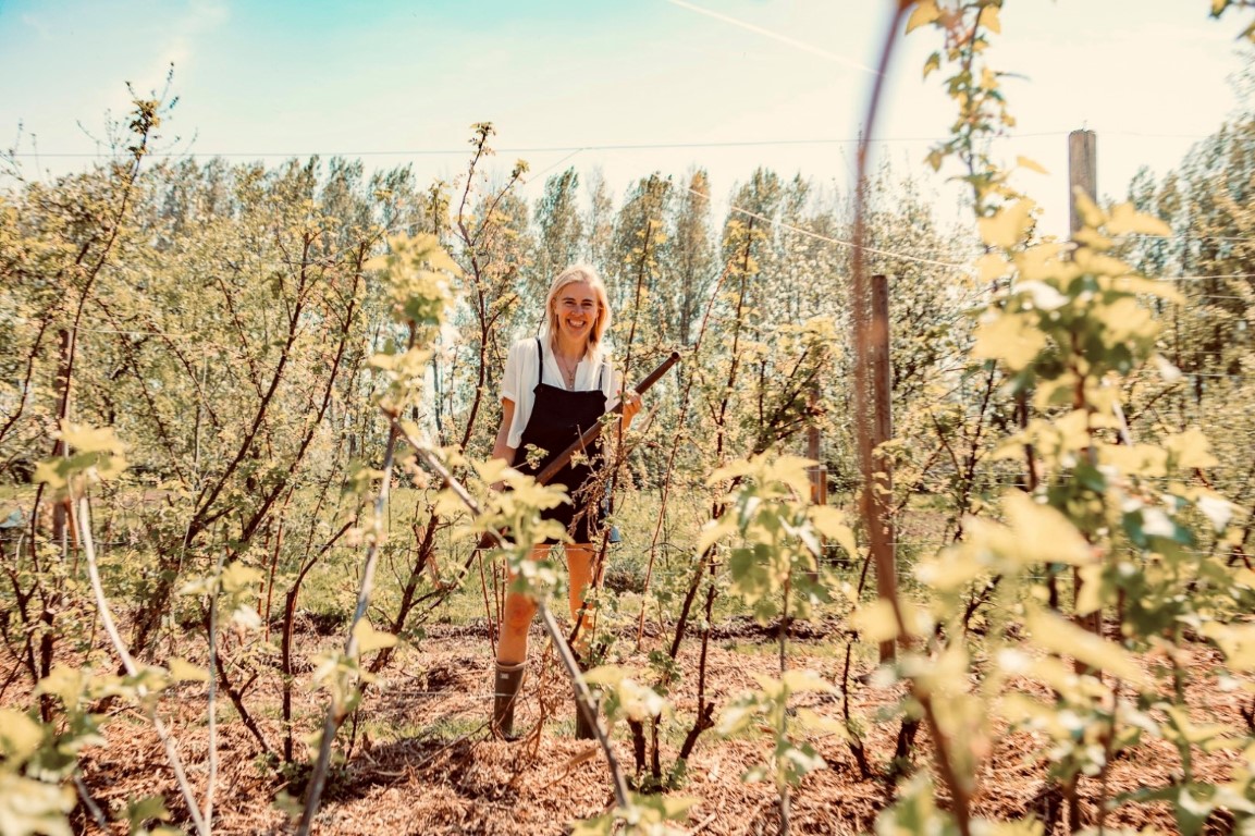 Wild&Grounded seizoensgebonden voeding